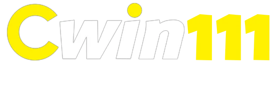 anytimetransportshuttleservice.com